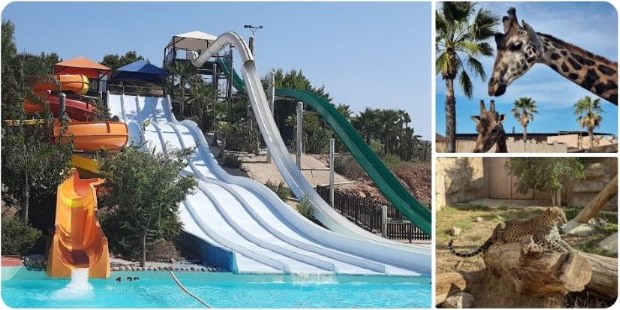 Terra Natura